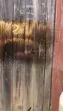 Отбеливатель "ЭкоМагУс" 10 кг.