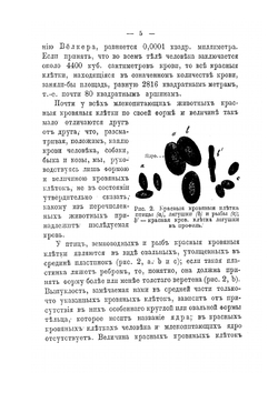 Кровь | А.С. Догель