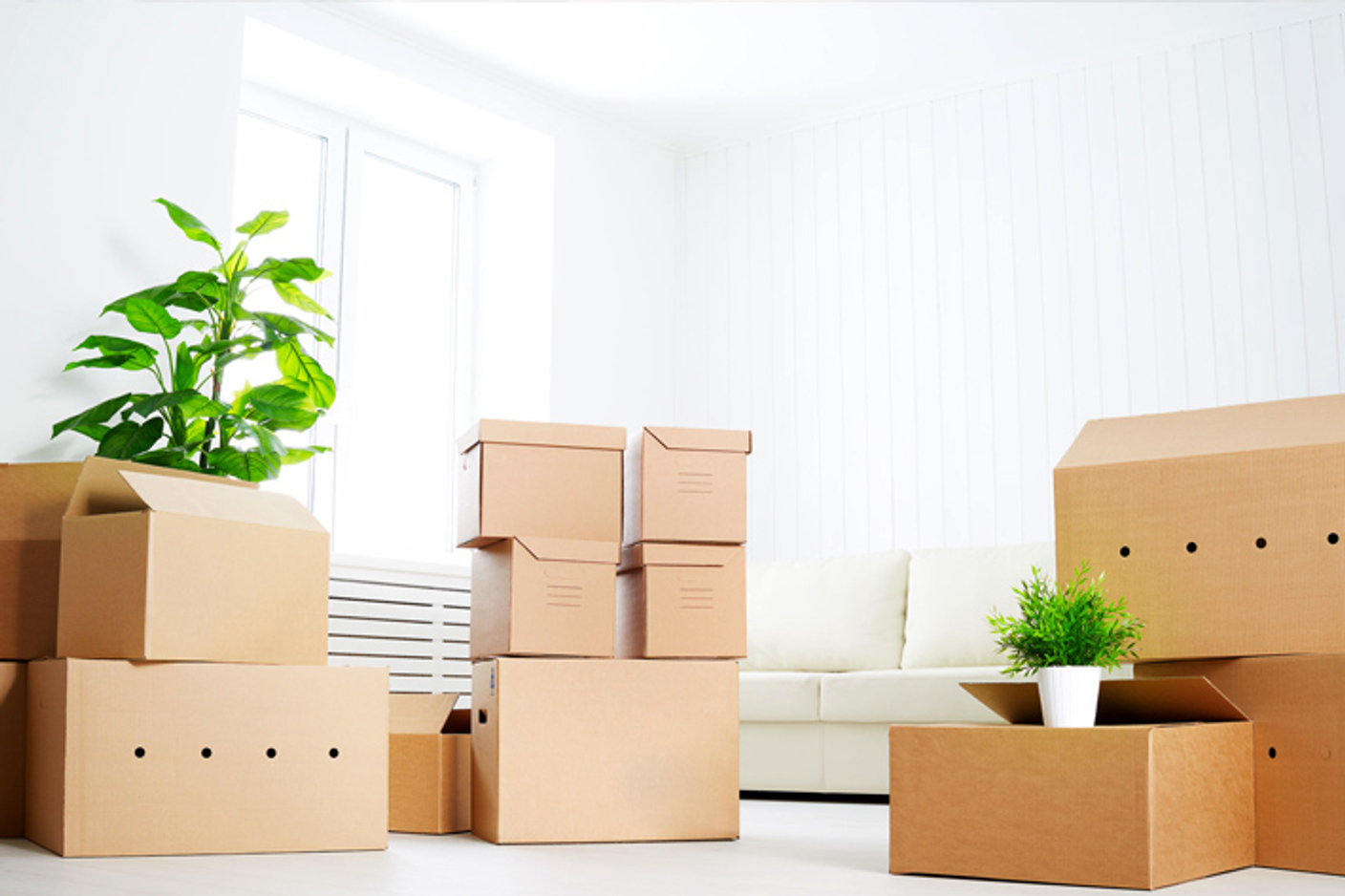 Мы переехали в Зеленоград