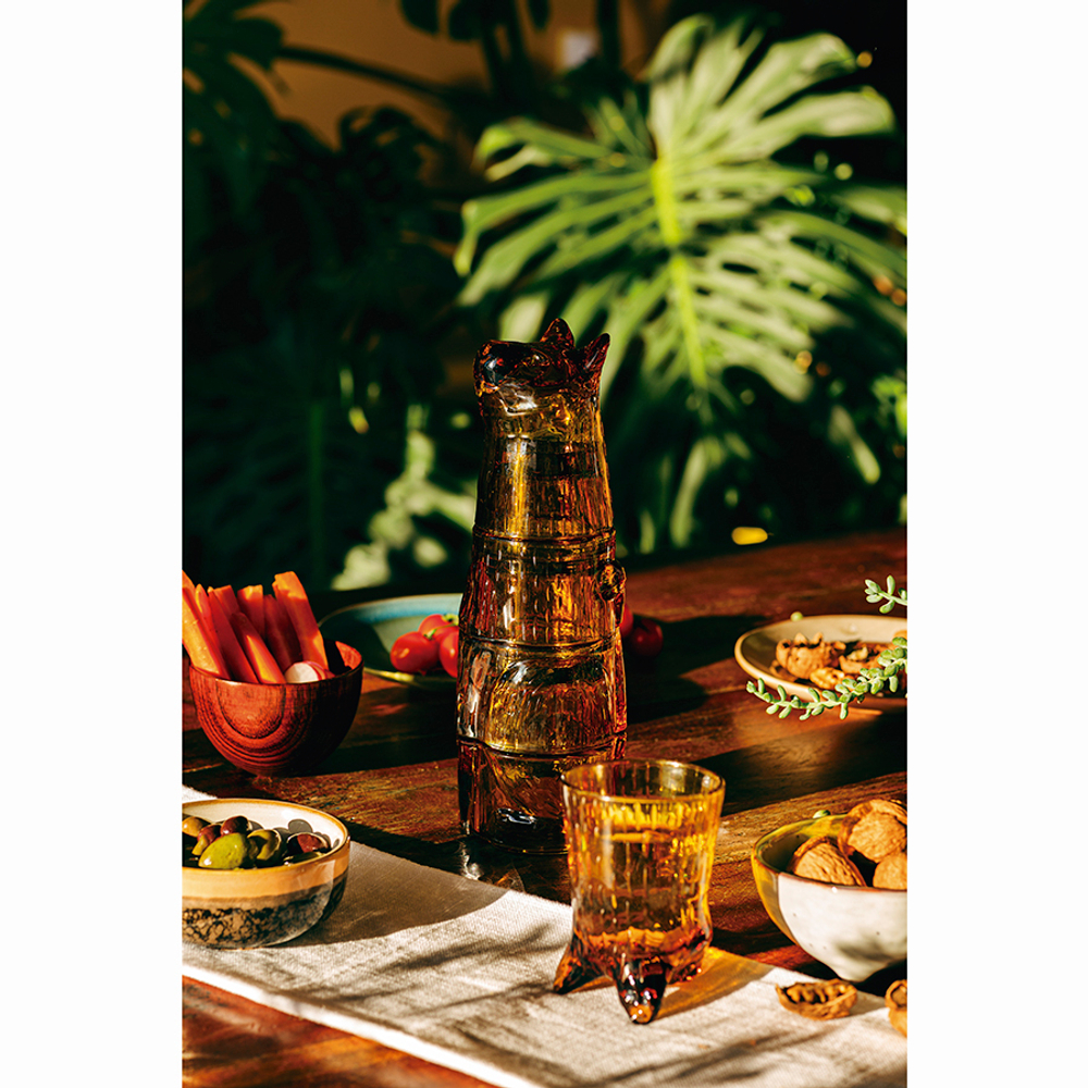 Набор из 4 стаканов kitty, имбирь