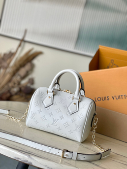 Louis Vuitton Speedy 20