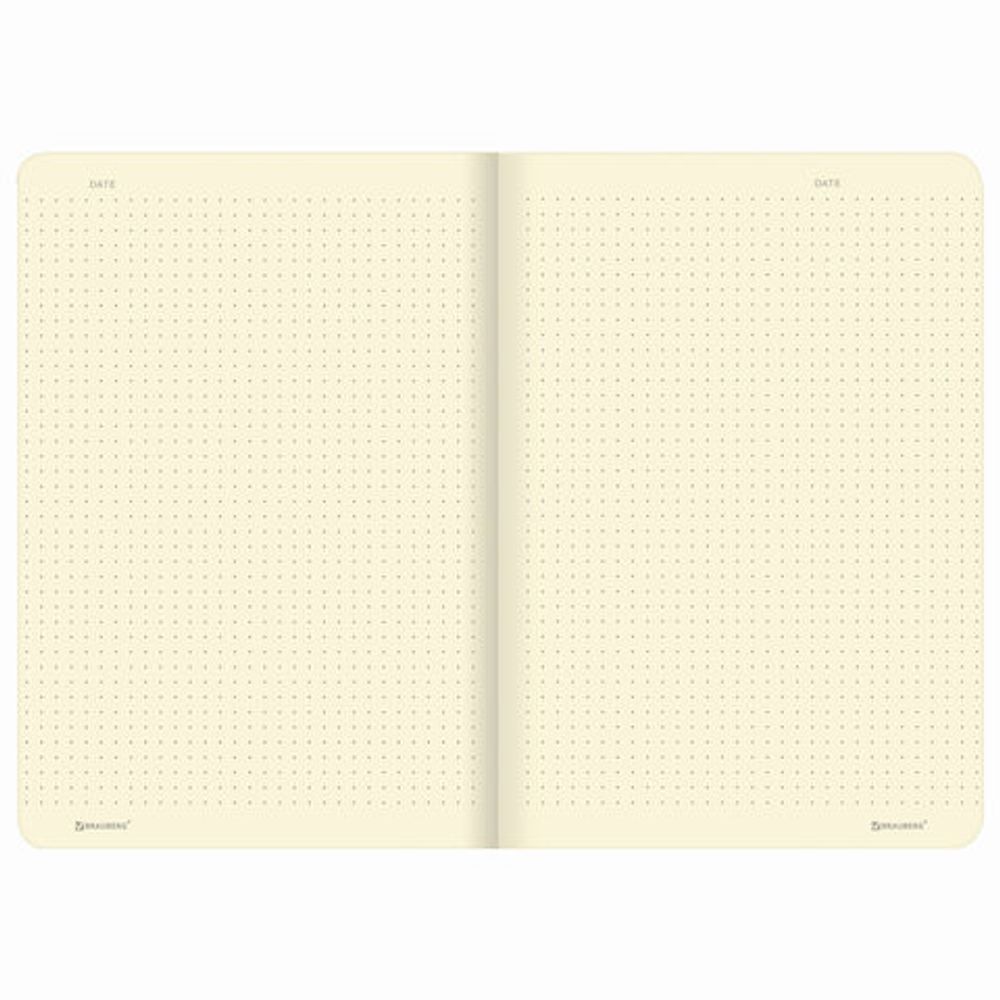 Тетрадь 48 л. в точку обложка кожзам SoftTouch, сшивка, A5 (147х210мм), РОЗОВЫЙ, BRAUBERG RAINBOW, 403882