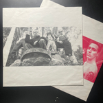 Red Hot Chili Peppers ‎– Blood Sugar Sex Magik 2LP (германия 1991г.)