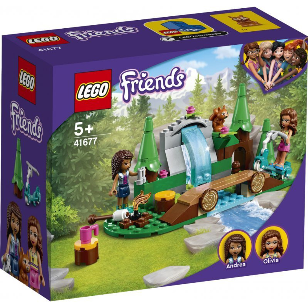 Friends - Лесной водопад 41677