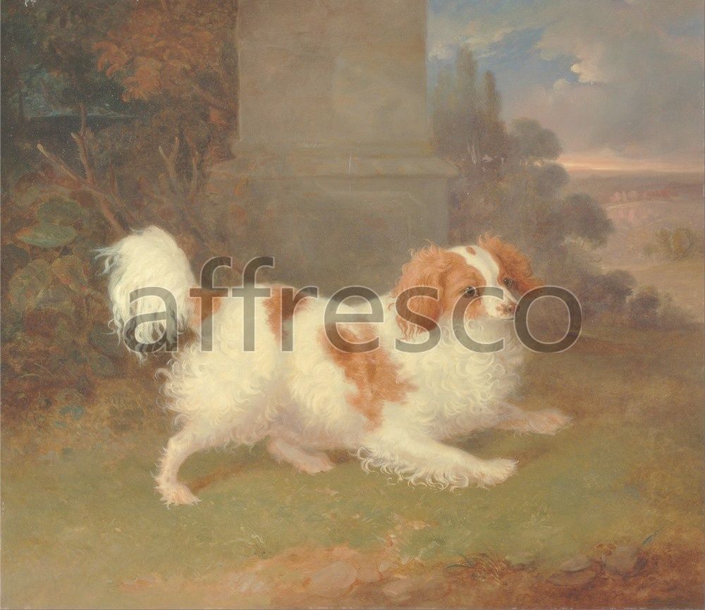 Фреска William Webb, A Blenheim Spaniel