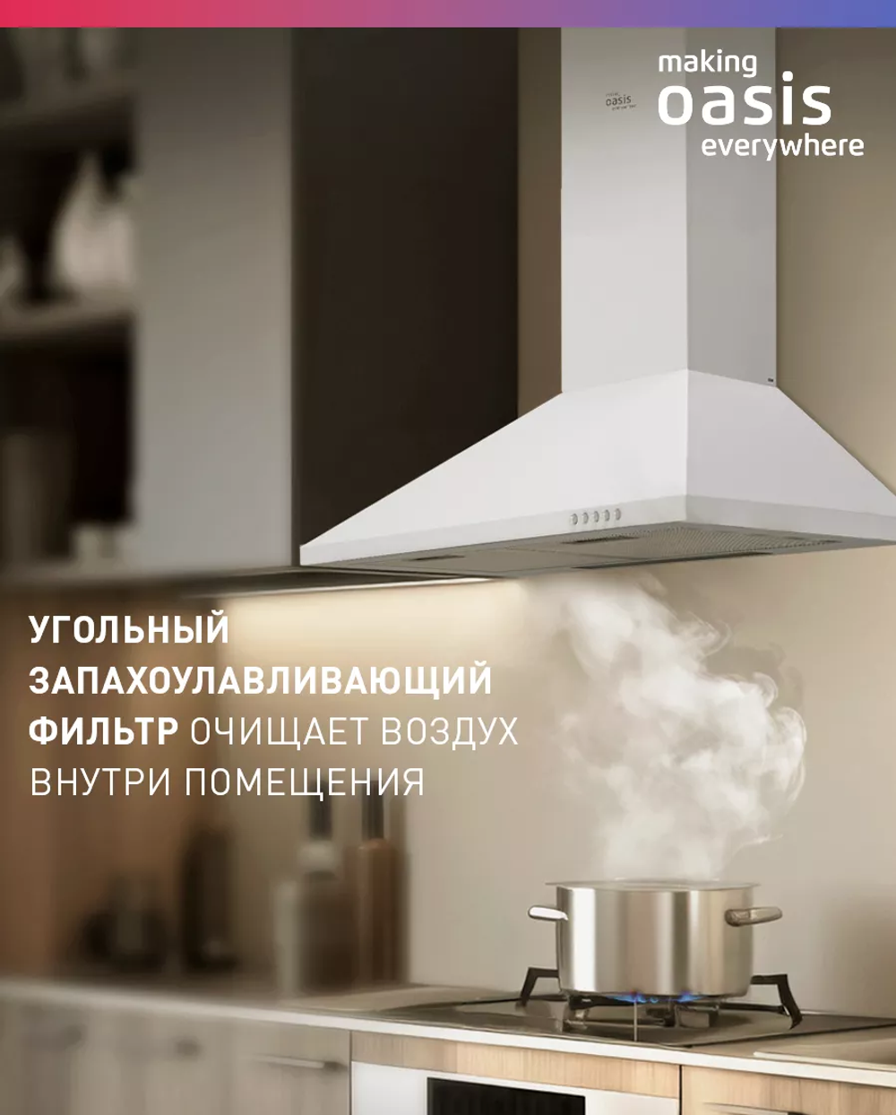 Угольный фильтр OASIS TM-1 (2 шт.) комплект