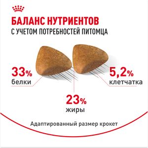 Сухой корм Royal Canin Sphynx Adult для взрослых кошек породы Сфинкс от 12 месяцев