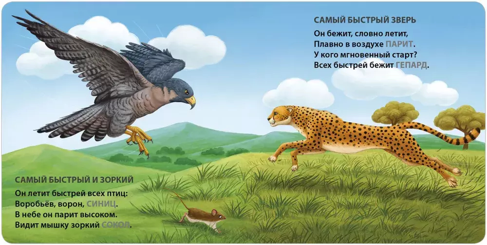 Книжки - картонки. Загадки - рифмы. Самые-самые животные