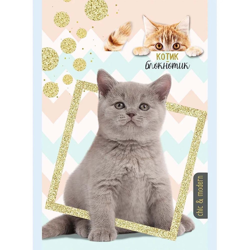 Блокнот А6, скрепка, Проф-Пресс, мелованная обложка, 16 л., клетка, ассорти,&quot;Милые котята&quot;,