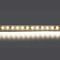 Светодиодная лента Lightstar 12W/m 120LED/m дневной белый 5M 420804