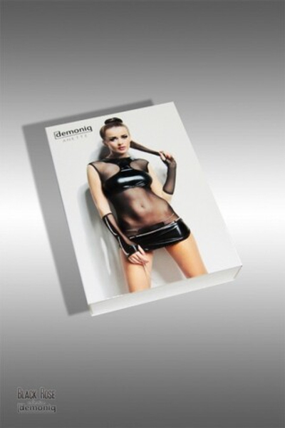 Прозрачное платье с виниловыми вставками Anette LXL (46-48) (Цвет: черный)