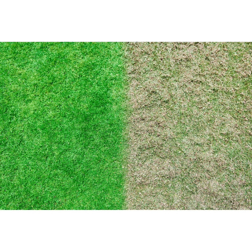 Скарификатор-аэратор Ryobi RY18SFX35A-0 5133004548 без аккумулятора