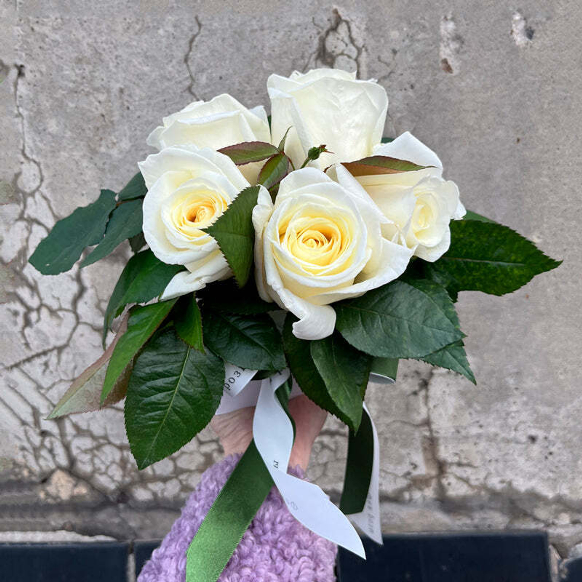 Норма Джин — композиция непревзойдённых ароматных белых роз