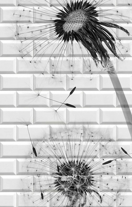 Панель ПВХ 3D Бланш Одуван рисунок 2700х250 мм