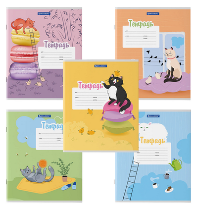 Тетрадь А5 12л. линия "Озорные коты" обложка картон (BRAUBERG)