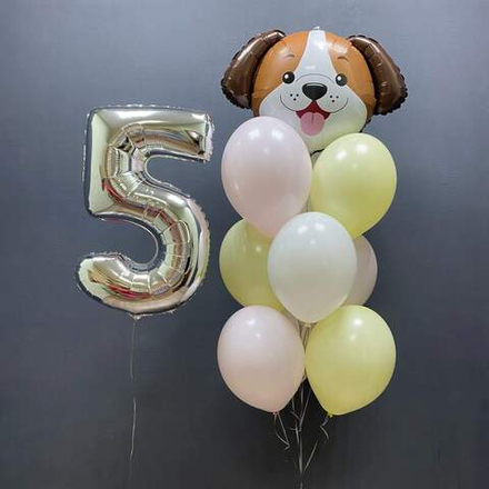 Щенок, набор шаров