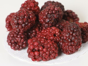 Ежевика сублимированная целая 25 гр.