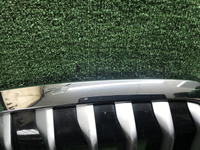 Решетка радиатора BMW X7 G07 (2019-2022)