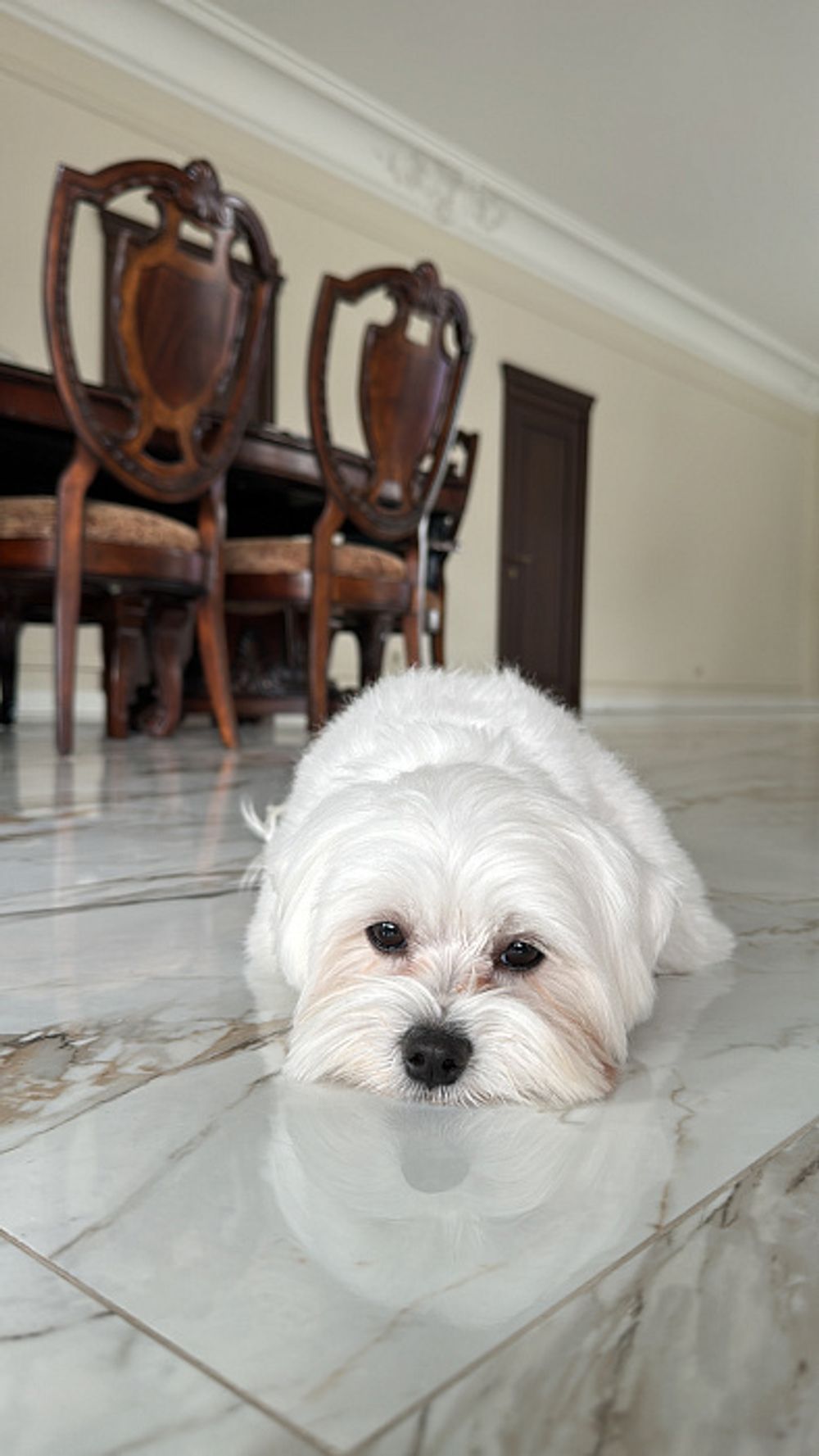 Стул с деревянной спинкой "Старый Свет"