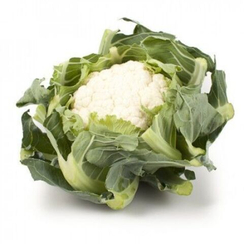 КАСПЕР РЗ F1 семена капусты цветной (Rijk Zwaan | Alexagro)