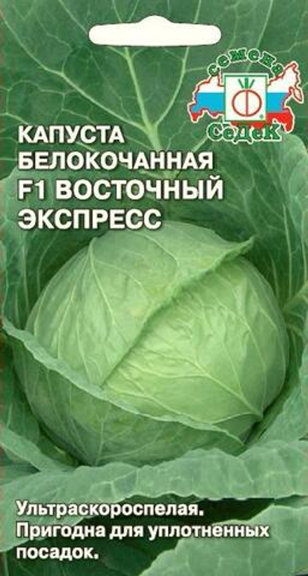капуста Восточный  Экспресс F1