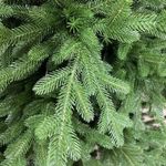 Ель искусственная «Рейна» (Литая хвоя) 180 см / 1,8 м