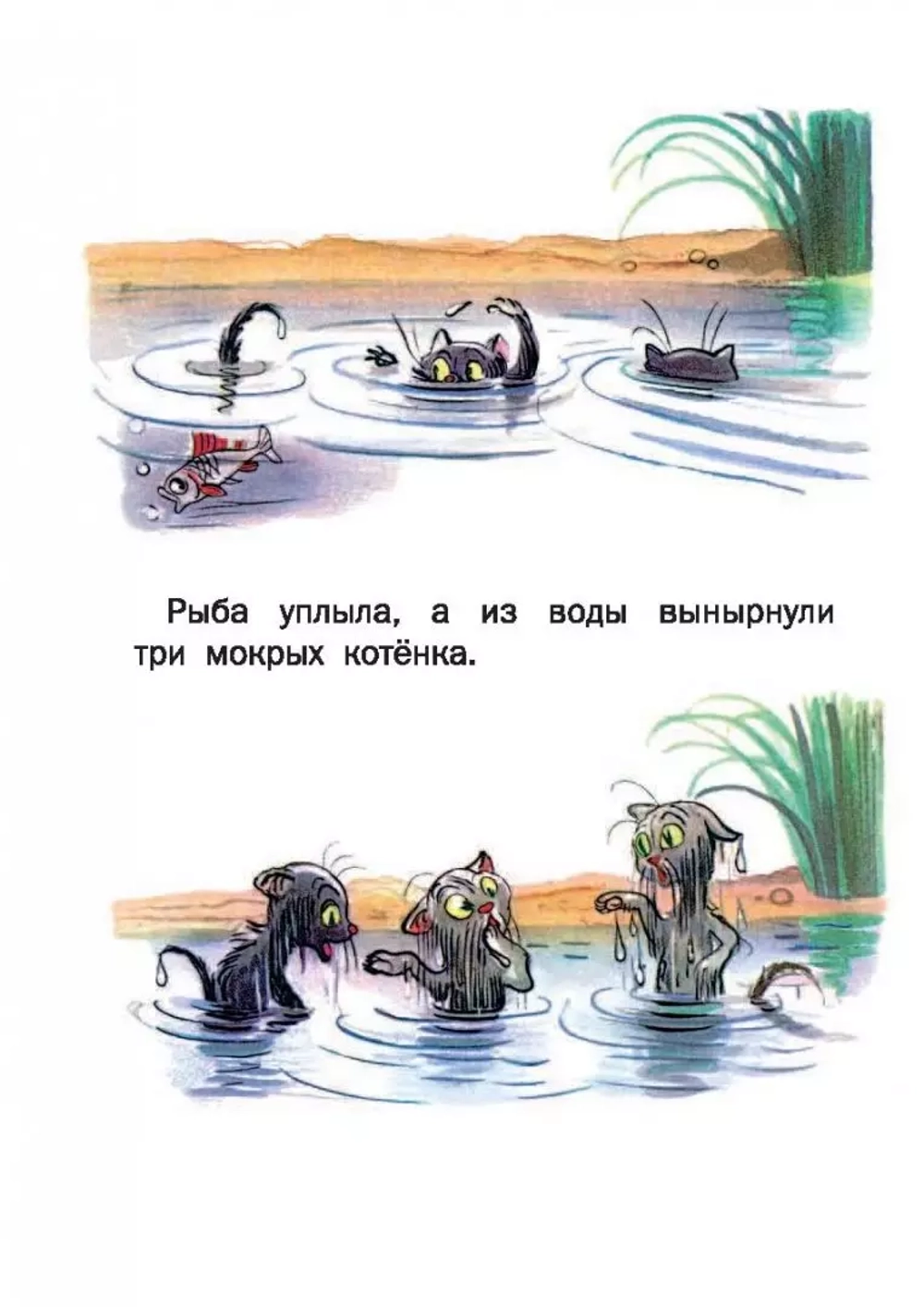 Сказки. Сутеев