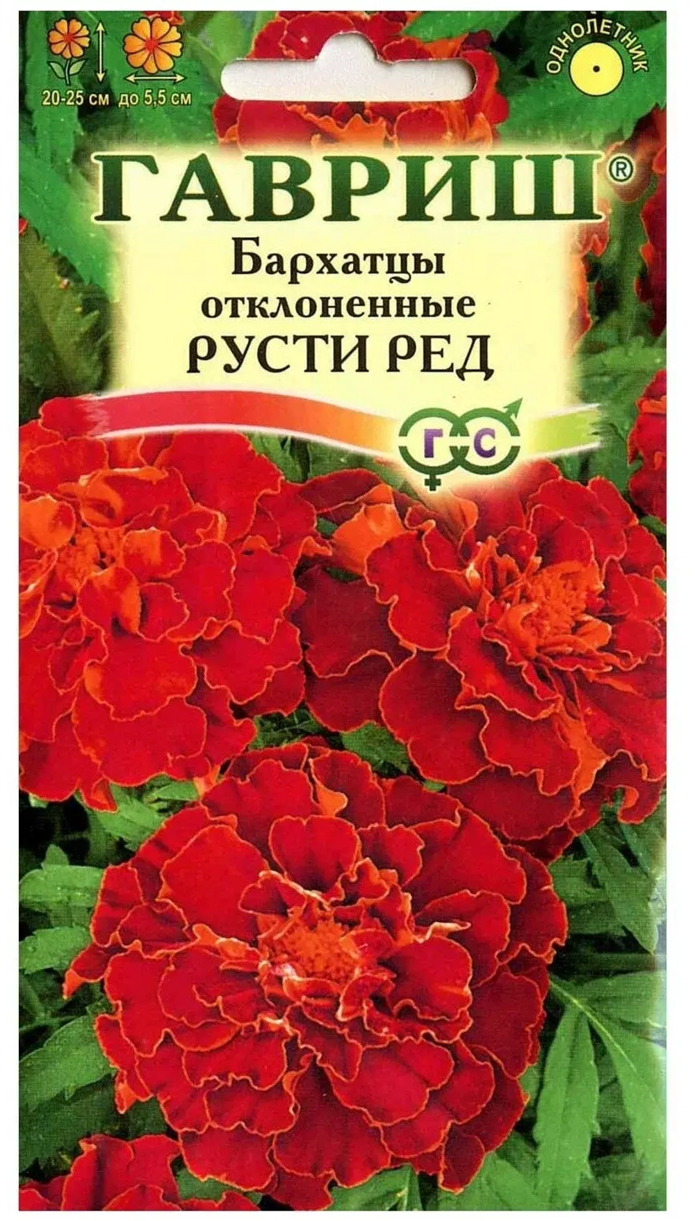 Бархатцы отклоненные Русти Ред