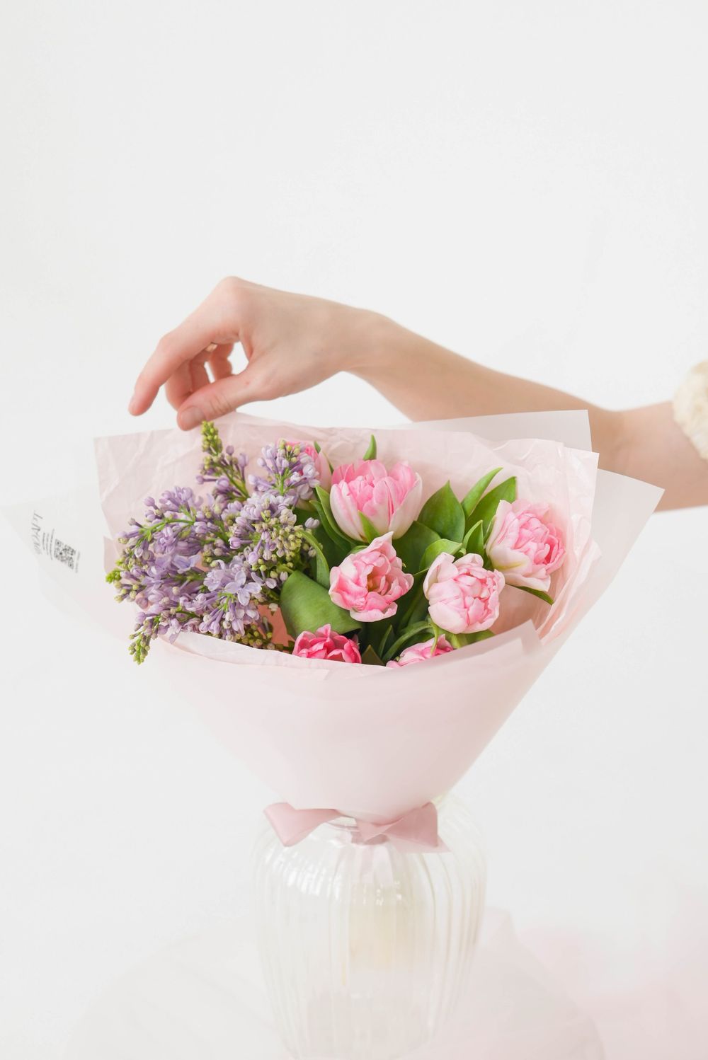 "Клубничный Фрезье мини" 