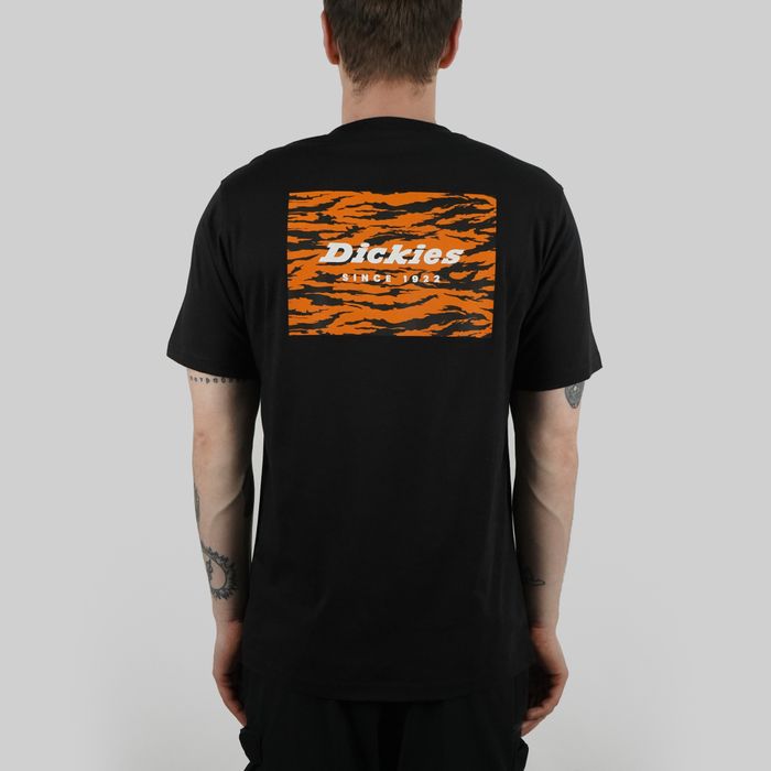 Футболка мужская Dickies Quamba артикул:DK0A4X9JBLK1 - купить в магазине Дайс
