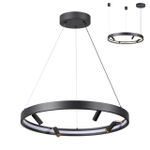 4317/58L ODL Светильник LED 70Вт 3000-6000К 220В IP20 HIGHTECH