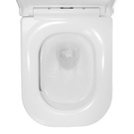 Унитаз подвесной Azario ESCONDA 345х490х350 безободковый, смыв "Скрытое Торнадо", с быстросъемным сиденьем микролифт (AZ-2805E)