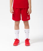 Шорты баскетбольные Camp Basic, красный, детский