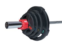 Штанга 53 кг (диски 50 мм с двумя хватами, гриф 180 см)