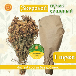 Зверобой пучок.
