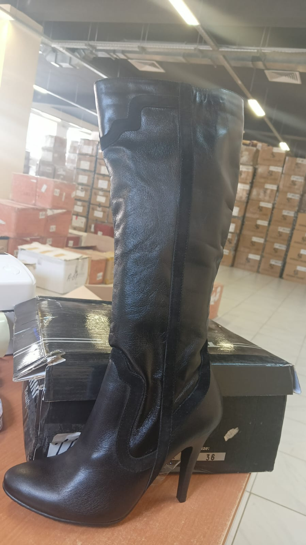 Сапоги женские TORRINI 0178-1 \115