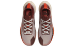 Кроссовки Nike Pegasus Trail 4 Gore-Tex (Женская размерная сетка)