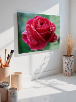Картина на стену 40 X 50 Роза