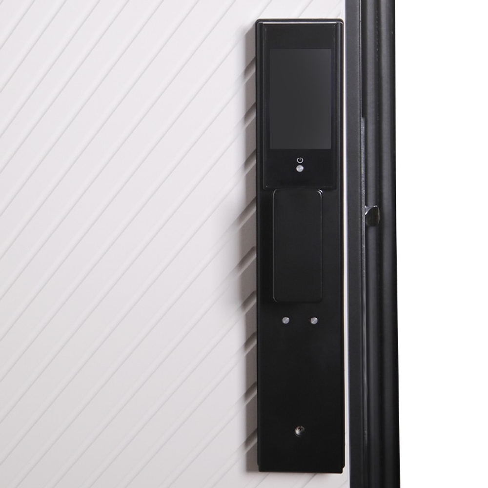 Стальная дверь "Ferrum" (биометрический замок)