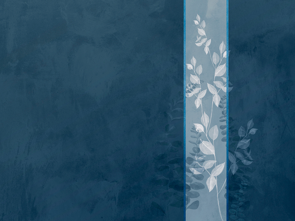 Коллекция BELLA