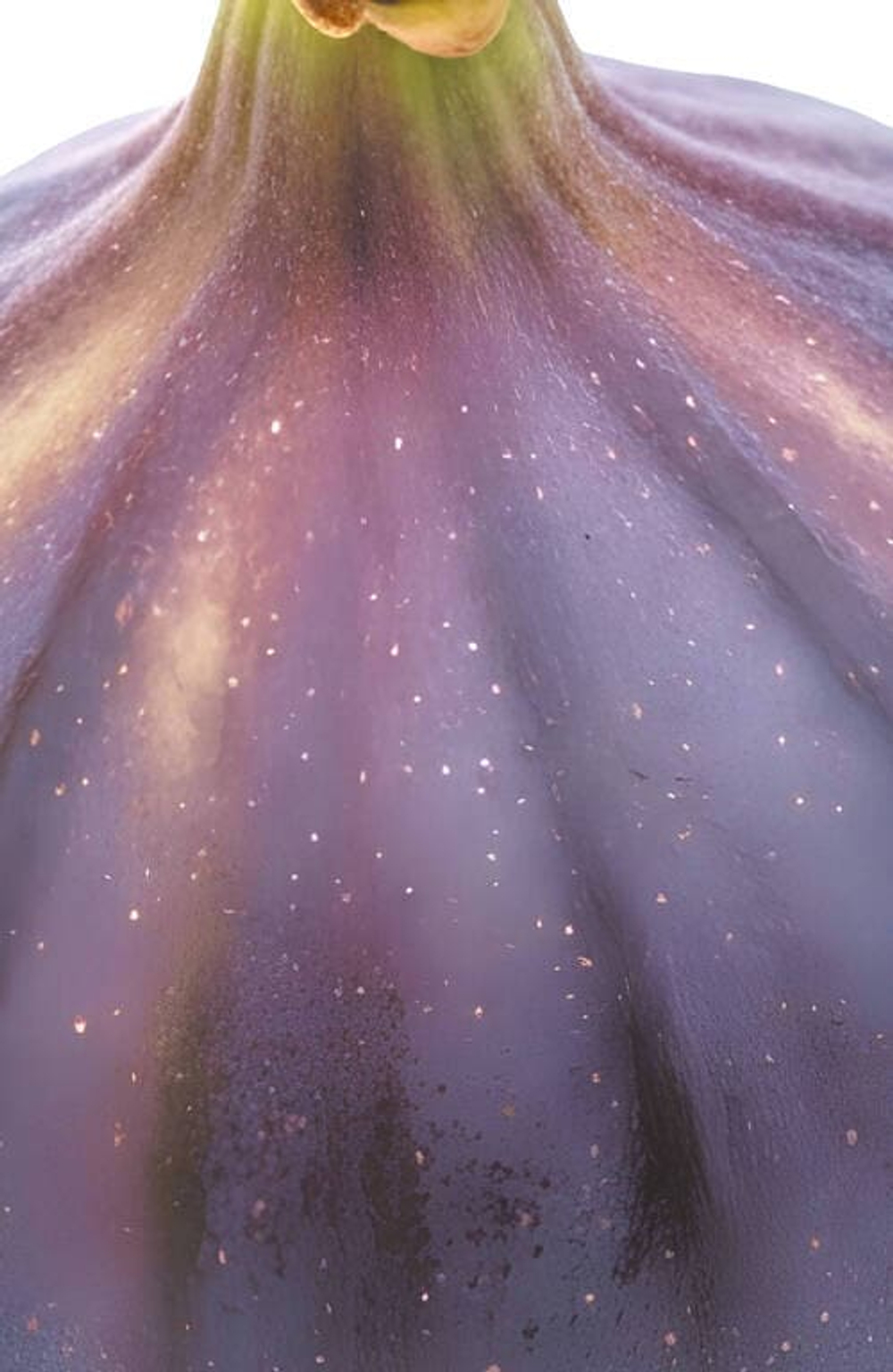 Новинки 14.04.26