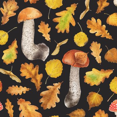 Осенний лес с грибами на черном