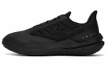 Кроссовки Nike Air Winflo 9