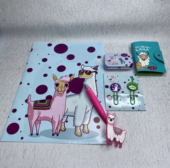 Подарочный бокс для девочки "Лама и Альпака", 5 предметов