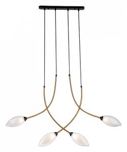 Подвесной светильник Indigo Fiore 13001/4P Black