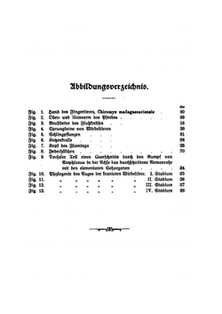 Darwinismus Und Lamarckismus. Entwurf Einer Psychophysischen Teleologie | August Pauly