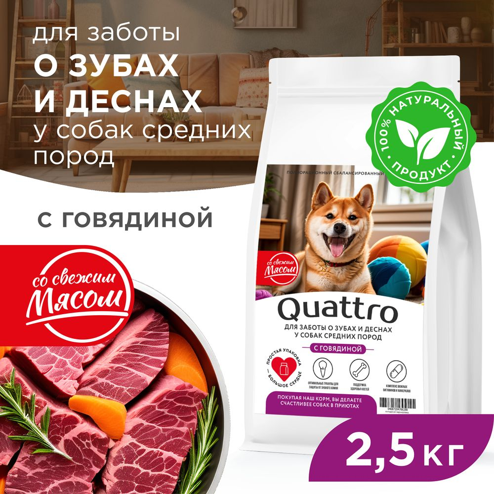 Корм сухой для взрослых собак средних пород, премиум полнорационный комплекс, забота о зубах и деснах, с говядиной, 2,5 кг, QUATTRO