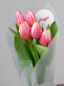 Тюльпаны микс