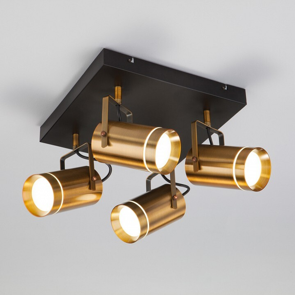 Спот Eurosvet 20063/4 LED античная бронза 36W