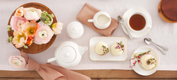 La Porcellana Bianca - Чайник Моменти 1,5л. / артикул   P002801200  / GTIN 8027549085444